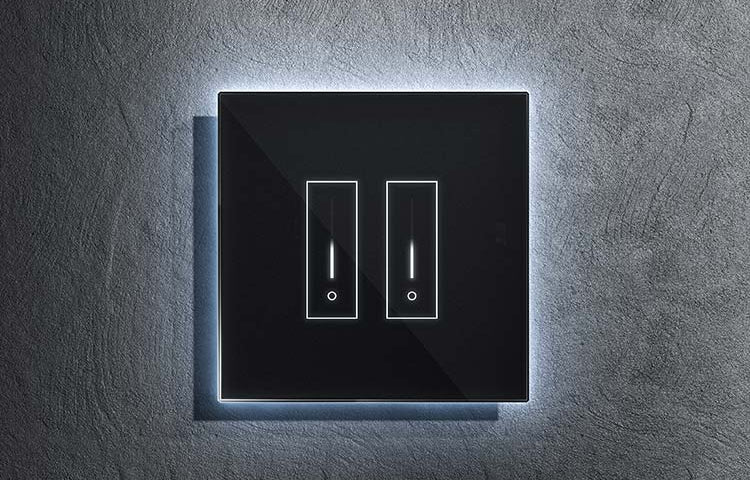 2 Switch Controller