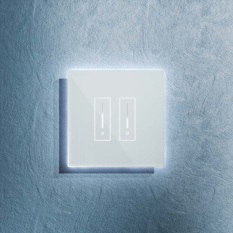 Smart Wifi Light Switch with Dimming - 2 Switch Controller - iotty